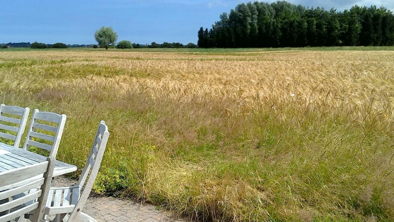 Bed and Breakfast Ateljee Devlaux Veurne Exterior foto